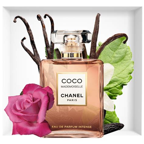 coco chanel intense notes